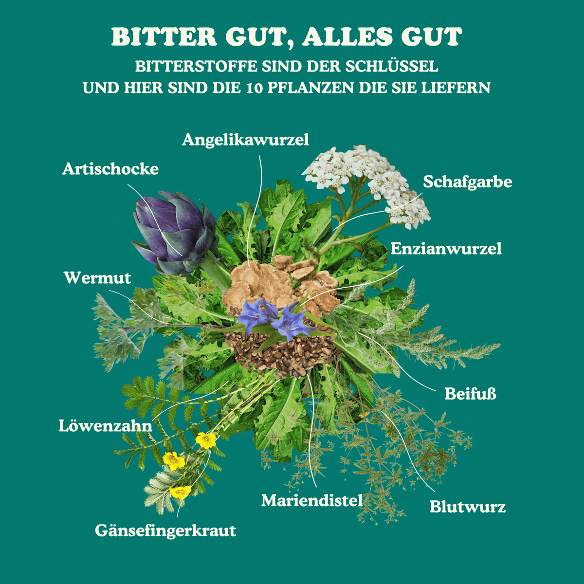 BitterBite ohne Alkohol - Bio Bitterstofftropfen