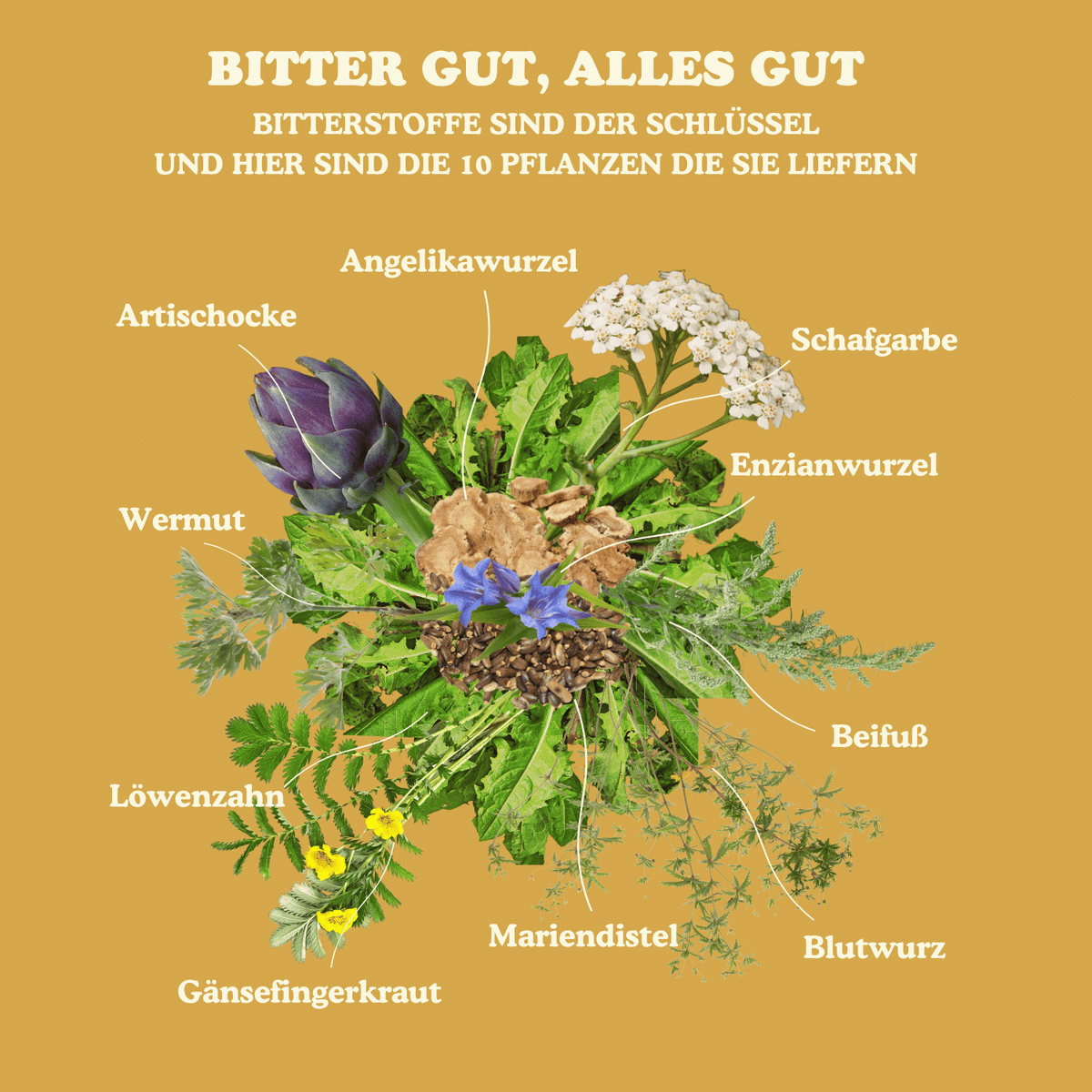 BitterBite Original - Bio Bitterstofftropfen